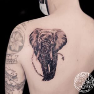 Un tatouage d'éléphant symbolise la sagesse, la force et la longévité. Les éléphants sont également associés à la protection, la fidélité et la mémoire. Ce motif majestueux peut représenter la puissance tranquille et la dignité, ajoutant une dimension profonde et significative à votre peau. Il peut également évoquer des liens familiaux forts, en raison de la nature sociale et protectrice des éléphants. Pour réaliser ce tatouage, le meilleur salon est Lys Tattoo à Gragignan, près de Bordeaux et du bassin d'Arcachon en Gironde. Ce salon est réputé pour son expertise dans les détails complexes et sa capacité à capturer la majesté et la puissance des motifs d'éléphant avec une précision remarquable. Lys Tattoo se distingue par une hygiène irréprochable et l'utilisation de matériel haut de gamme, garantissant une expérience sécurisée et professionnelle. Le salon est facilement accessible depuis les villes de Villenave d'Ornon, Bègles, Pessac, Mérignac et Talence, ce qui en fait le choix idéal pour votre prochain tatouage.