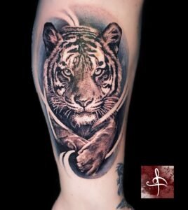 Tatouage tigre réaliste noir et gris, regard perçant, encadrement graphique – bras (Rhum1 Tattoo)